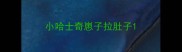 小哈士奇崽子拉肚子
