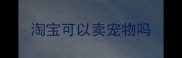 淘宝可以卖宠物吗