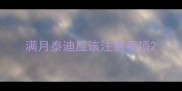 满月泰迪应该注意事项