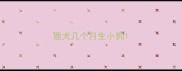 鹿犬几个月生小狗