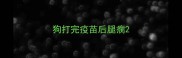 狗打完疫苗后腿瘸