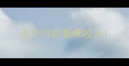五个月的猫咪咬人