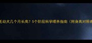 金毛幼犬几个月长高5个阶段科学喂养指南附身高对照表