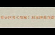 2个月大哈士奇每天吃多少狗粮科学喂养指南与营养需求全