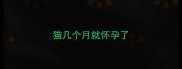 猫几个月就怀孕了