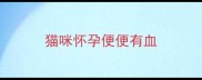 猫咪怀孕便便有血