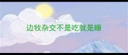 边牧杂交不是吃就是睡