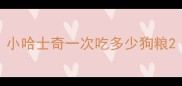 小哈士奇一次吃多少狗粮