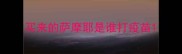 买来的萨摩耶是谁打疫苗