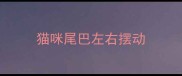 猫咪尾巴左右摆动