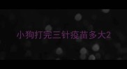 小狗打完三针疫苗多大