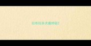 拉布拉多犬瘟特征