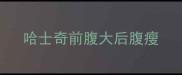 哈士奇前腹大后腹瘦