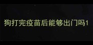 狗打完疫苗后能够出门吗