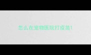 怎么在宠物医院打疫苗