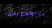 泰迪和松狮哪个好