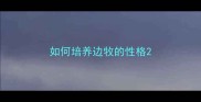 如何培养边牧的性格