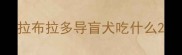 拉布拉多导盲犬吃什么