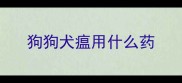 狗狗犬瘟用什么药