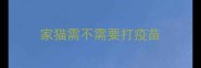 家猫需不需要打疫苗
