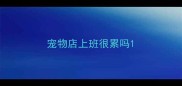 宠物店上班很累吗