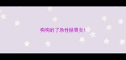 狗狗的了急性肠胃炎