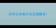 拉布拉多挨打后迅速睡觉