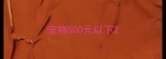 宠物500元以下