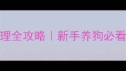 3个月幼犬感冒护理全攻略新手养狗必看感冒处理指南