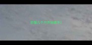 奶猫几个月开始磨牙