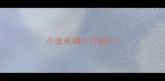 小金毛俩个月细小