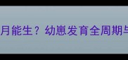 宠物怀孕后几个月能生幼崽发育全周期与科学养护指南