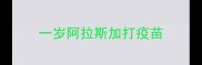 一岁阿拉斯加打疫苗