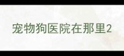 宠物狗医院在那里