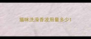 猫咪洗澡香波用量多少