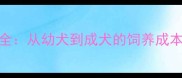 比熊犬价格全从幼犬到成犬的饲养成本与选购指南