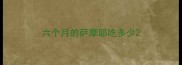 六个月的萨摩耶吃多少
