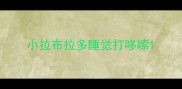 小拉布拉多睡觉打哆嗦