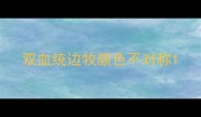 双血统边牧颜色不对称