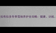 雪地狂欢乐拉布拉多冬季雪地养护全攻略健康训练保暖三重奏