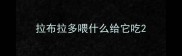 拉布拉多喂什么给它吃