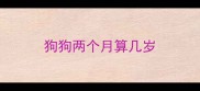 狗狗两个月算几岁