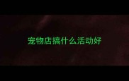 宠物店搞什么活动好