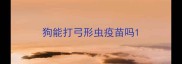 狗能打弓形虫疫苗吗