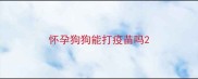 怀孕狗狗能打疫苗吗