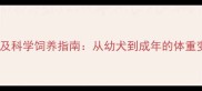 金毛犬体重范围及科学饲养指南从幼犬到成年的体重变化与养护要点