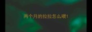 两个月的拉拉怎么喂