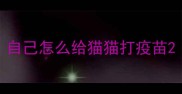 自己怎么给猫猫打疫苗