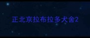 正北京拉布拉多犬舍