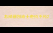 怎样辨别哈士奇纯不纯